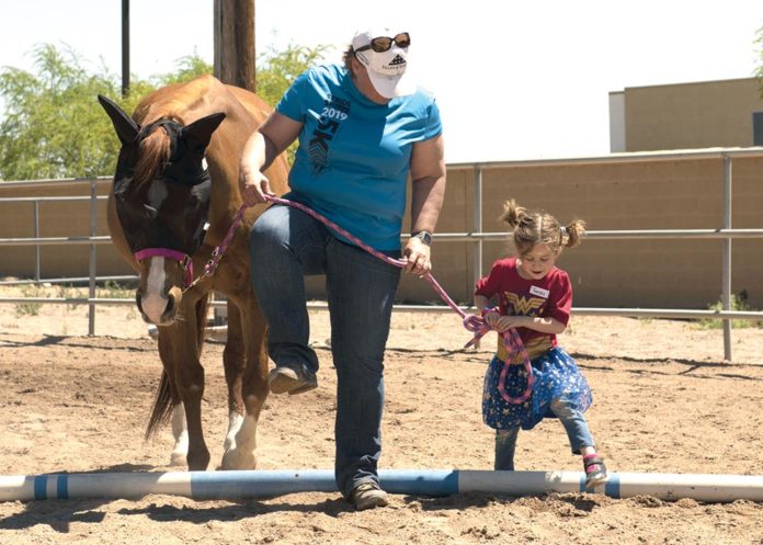 equinetraining