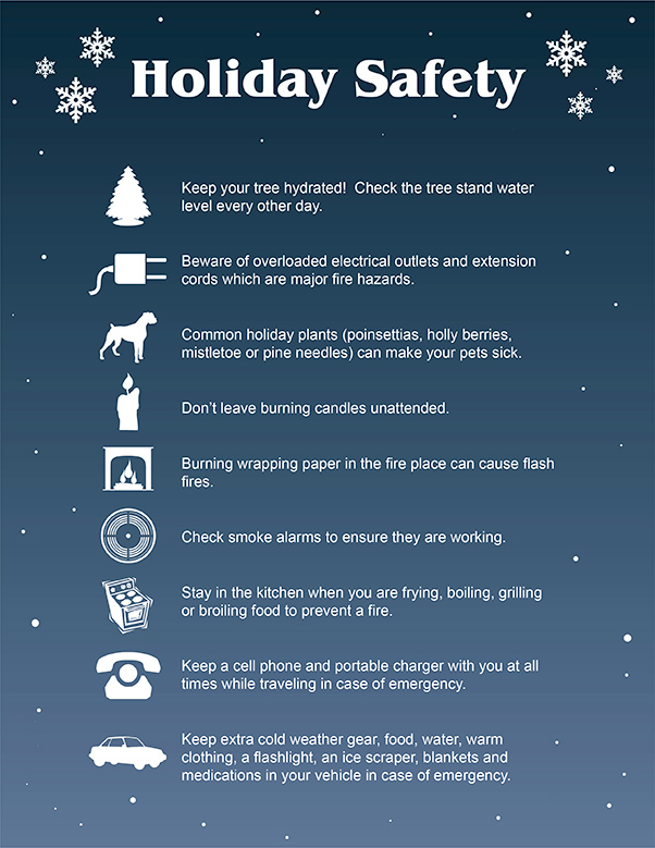 Holiday safety 101 Desert Lightning News Davis Monthan