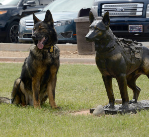 Air Force photograph by Senior Airman Devante Williams