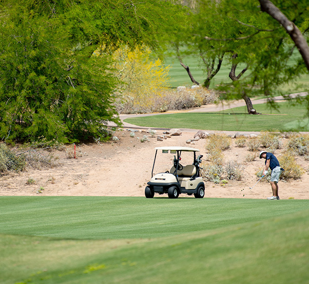 Luke hosts Armed Forces Golf tournament The Thunderbolt Luke AFB