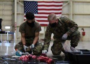 Staff Sgt. Sergio Tosi, 944th Aeromedical Staging Squadron medical technician and Senior Master Sgt. Jeffrey Neilsen, 944th ASTS medical material medic, prepare pork tracheas