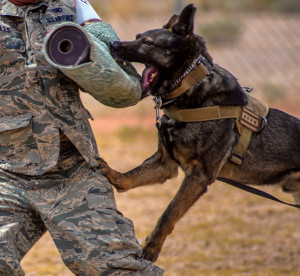 U.S. Air Force photo by Airman 1st Class Kevin Tanenbuam