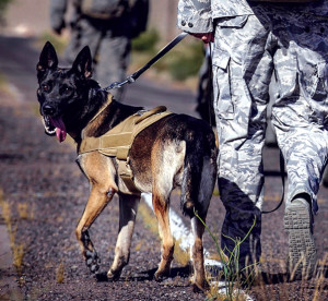 U.S. Air Force photo by Senior Airman Kevin Tanenbaum