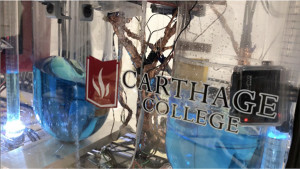 Carthage College photograph by Megan Janiak