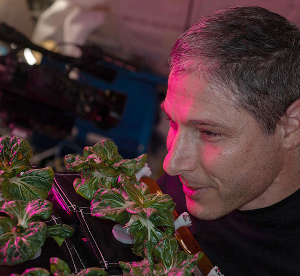 nasa-plants1