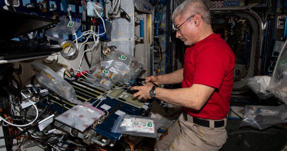 NASA astronaut and Expedition 66 Flight Engineer Mark Vande Hei sets up components for the MVP-Plant-01 space botany study and nourishes Arabidopsis plants grown on petri plates. That investigation is exploring how plant molecular mechanisms and regulatory networks adapt to the weightless environment of space.