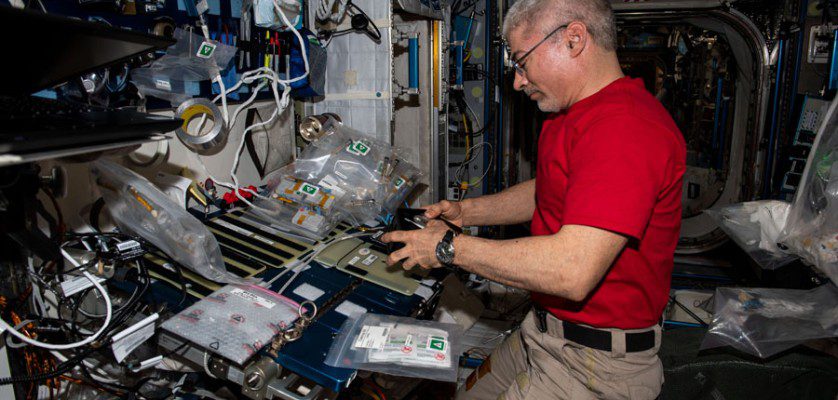 NASA astronaut and Expedition 66 Flight Engineer Mark Vande Hei sets up components for the MVP-Plant-01 space botany study and nourishes Arabidopsis plants grown on petri plates. That investigation is exploring how plant molecular mechanisms and regulatory networks adapt to the weightless environment of space.