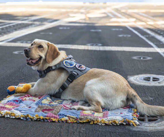 Navy photograph by PO2 Malachi Lakey