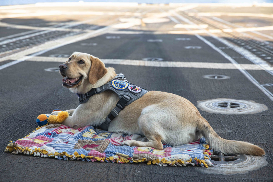 Navy photograph by PO2 Malachi Lakey