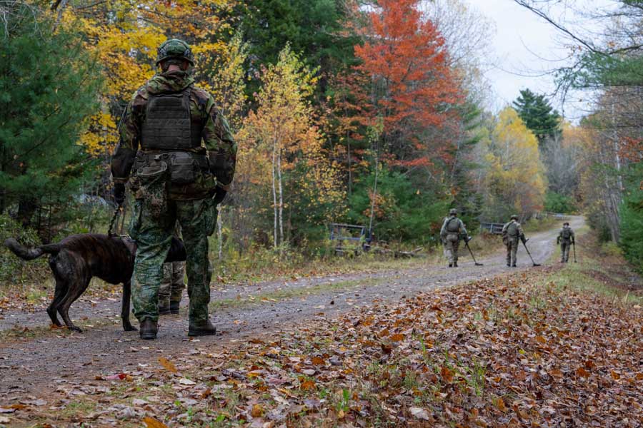 Canadian Armed Forces photograph by Cpl. Brian Watters