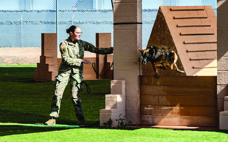 U.S. Air Force Senior Airman Julia Caccavo, 355th Security Forces Squadron military working dog handler, directs her K-9 partner, SSilke, to jump through a training arch in an obstacle course during a police and military K-9 competition, May 14, 2025, at Luke Air Force Base, Arizona. The day’s K-9 competition tested the dogs’ obedience and speed in accurately completing the course. Several portions of the obstacle course were strategically designed to test the dogs’ obedience by creating hesitation in following orders.